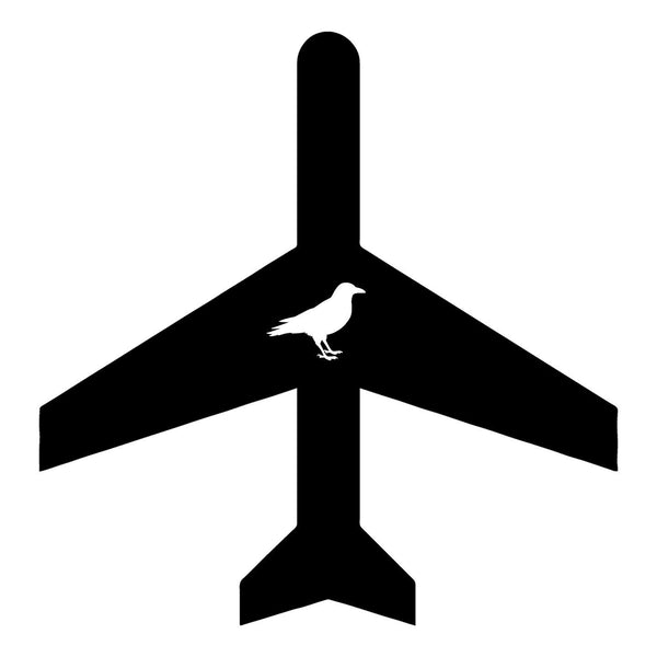 For the Birds Trapped in Airports
