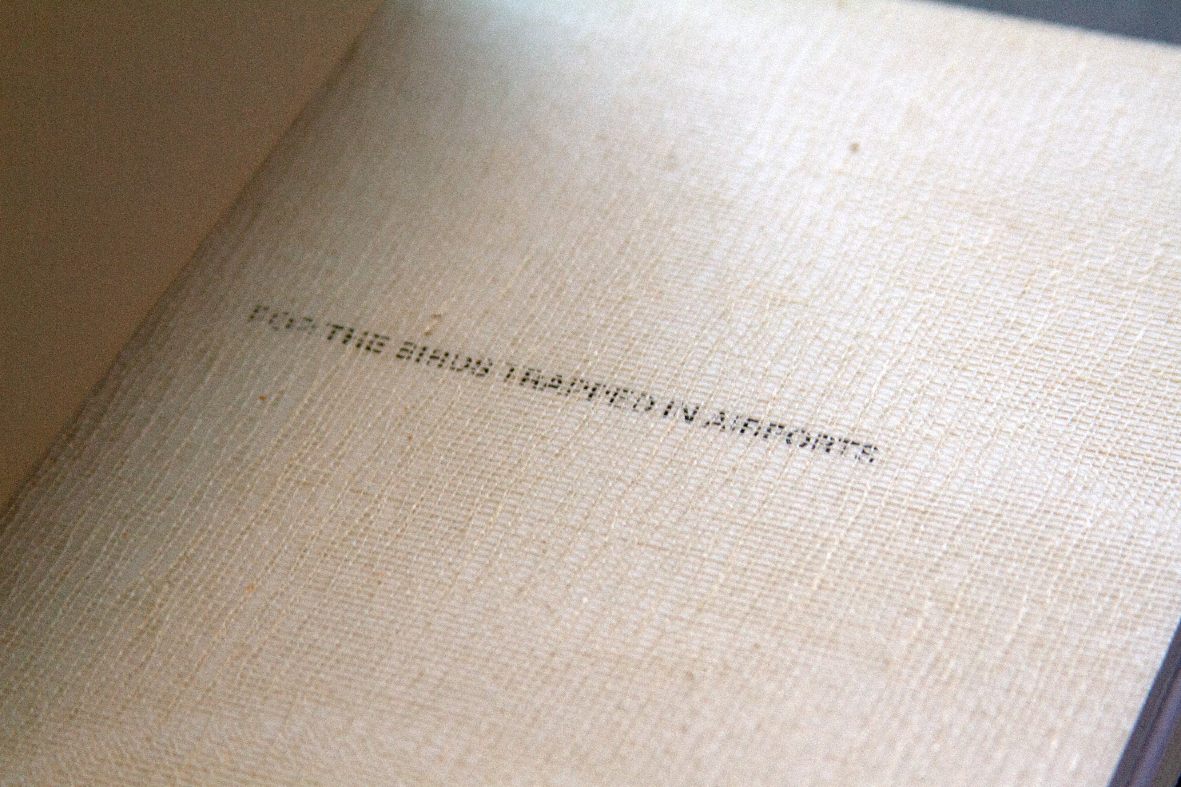 For the Birds Trapped in Airports by Matthew Austin