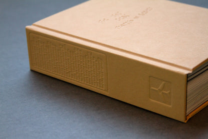 For the Birds Trapped in Airports by Matthew Austin