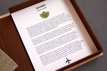 Special Edition: HAMPI by River Coello