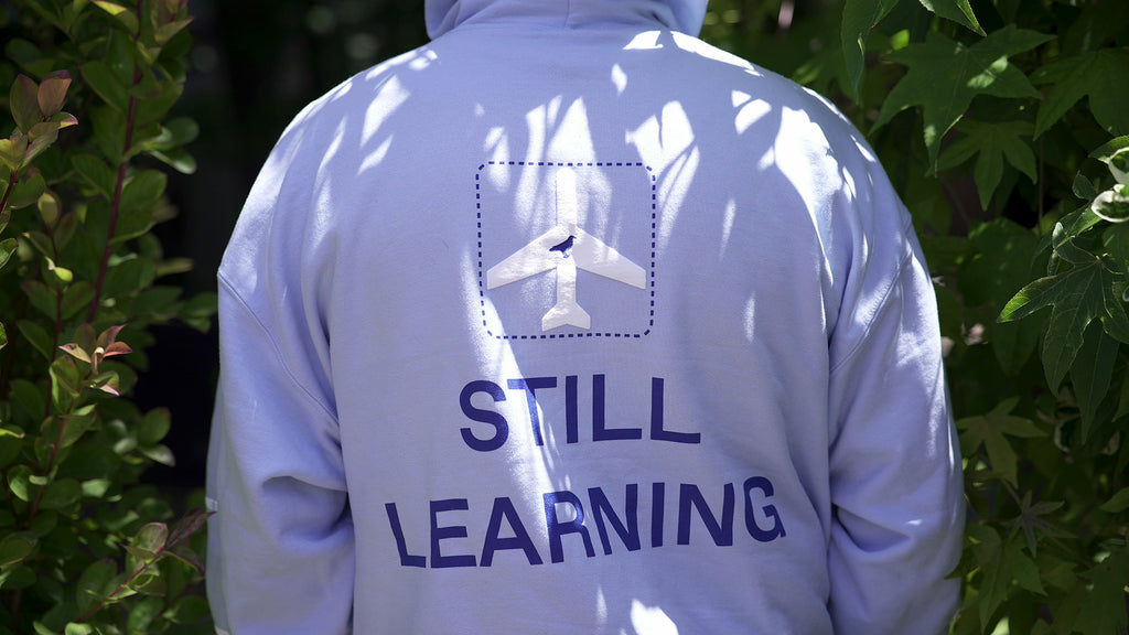 For the Birds Trapped in Airports Hoodie