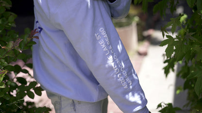 For the Birds Trapped in Airports Hoodie