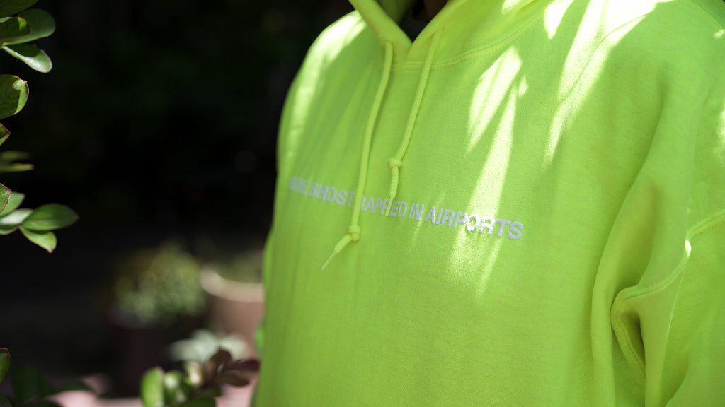 For the Birds Trapped in Airports Hoodie