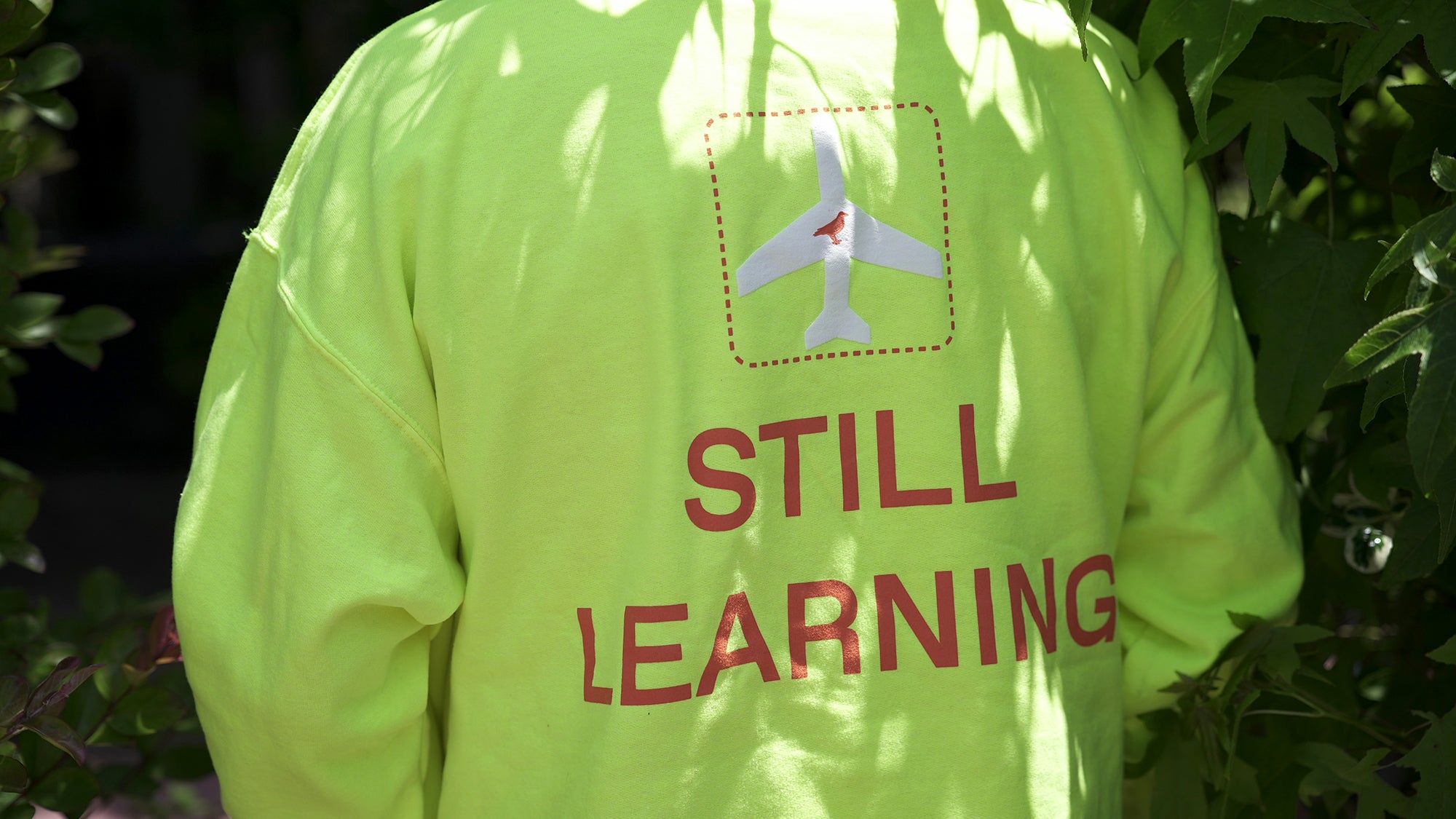 For the Birds Trapped in Airports Hoodie
