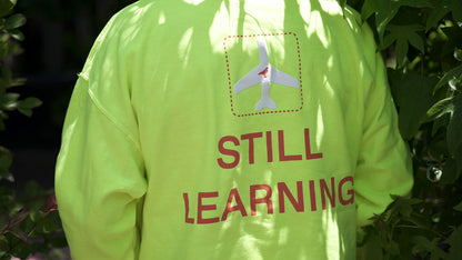 For the Birds Trapped in Airports Hoodie