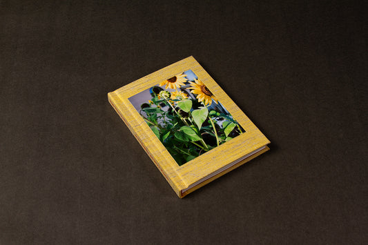 Sugar Honey Iced Tea by Ileana Ramirez and Sara J. Winston