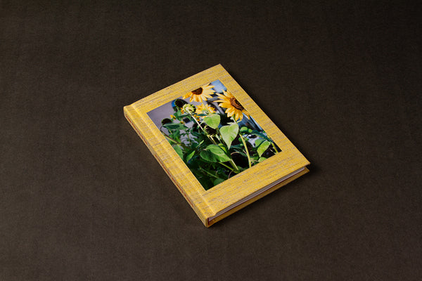 Sugar Honey Iced Tea by Ileana Ramirez and Sara J. Winston