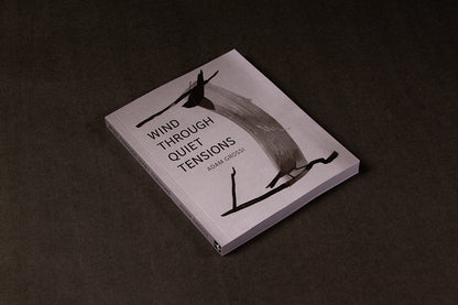Wind Through Quiet Tensions by Adam Grossi