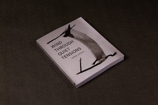 Wind Through Quiet Tensions by Adam Grossi