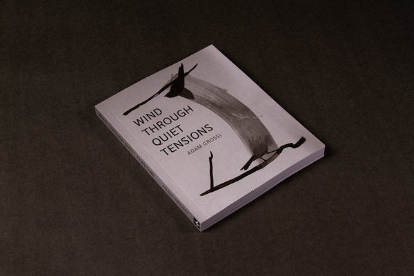 Wind Through Quiet Tensions by Adam Grossi