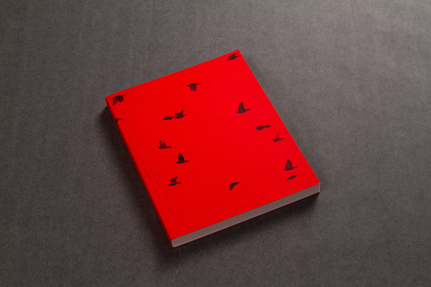 STILL LEARNING paperback notebook