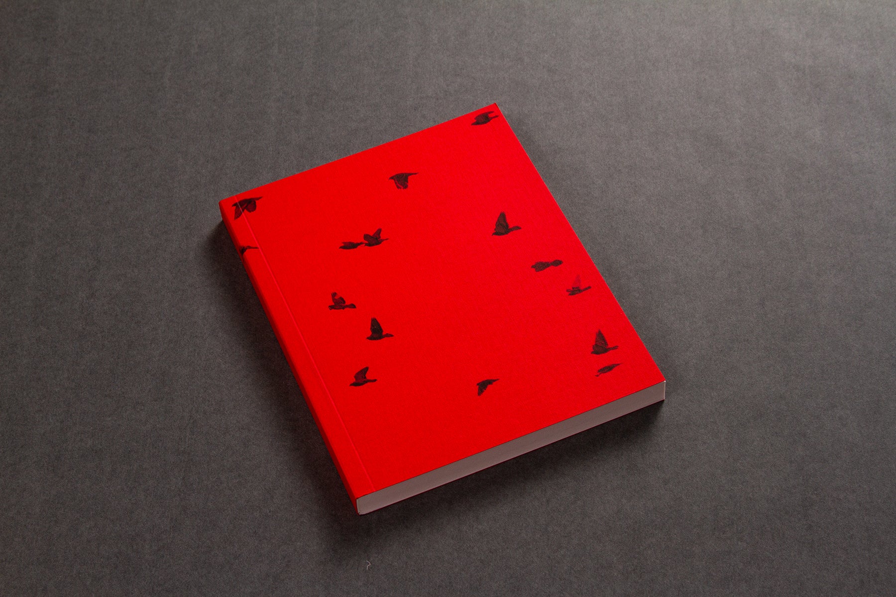 STILL LEARNING paperback notebook