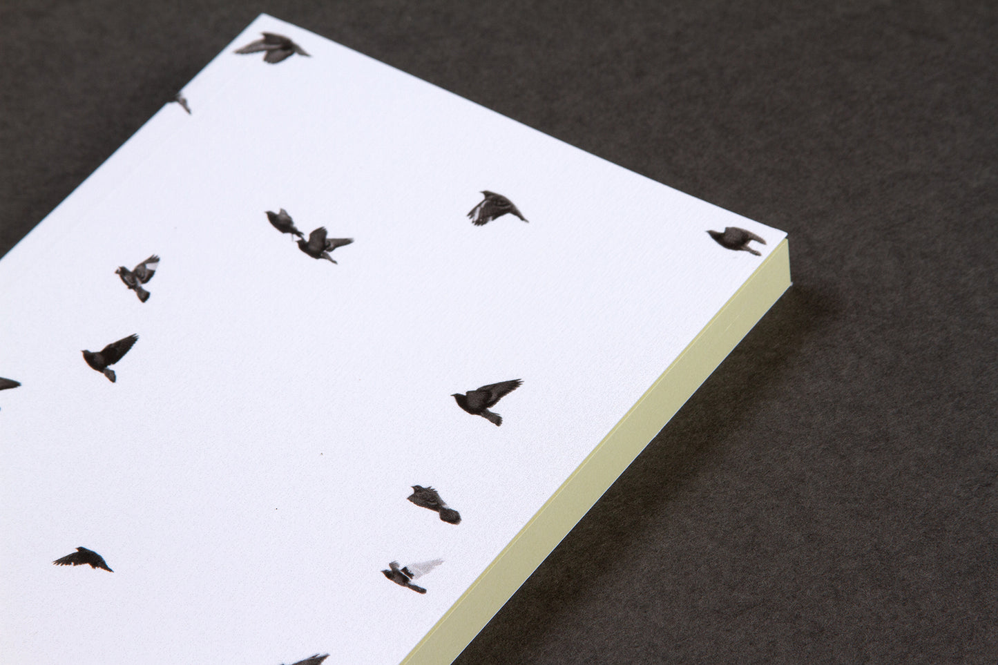 STILL LEARNING paperback notebook