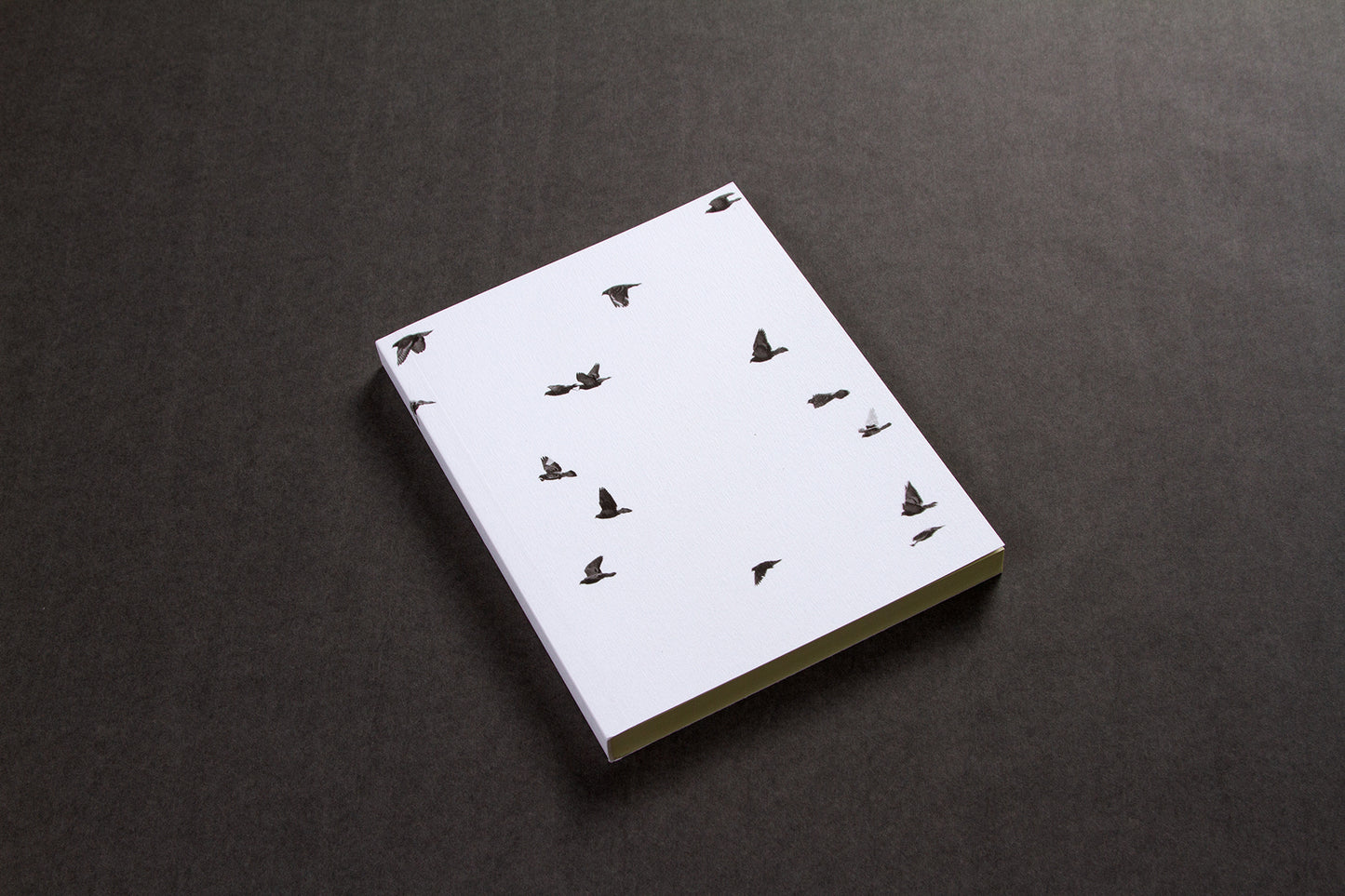 STILL LEARNING paperback notebook