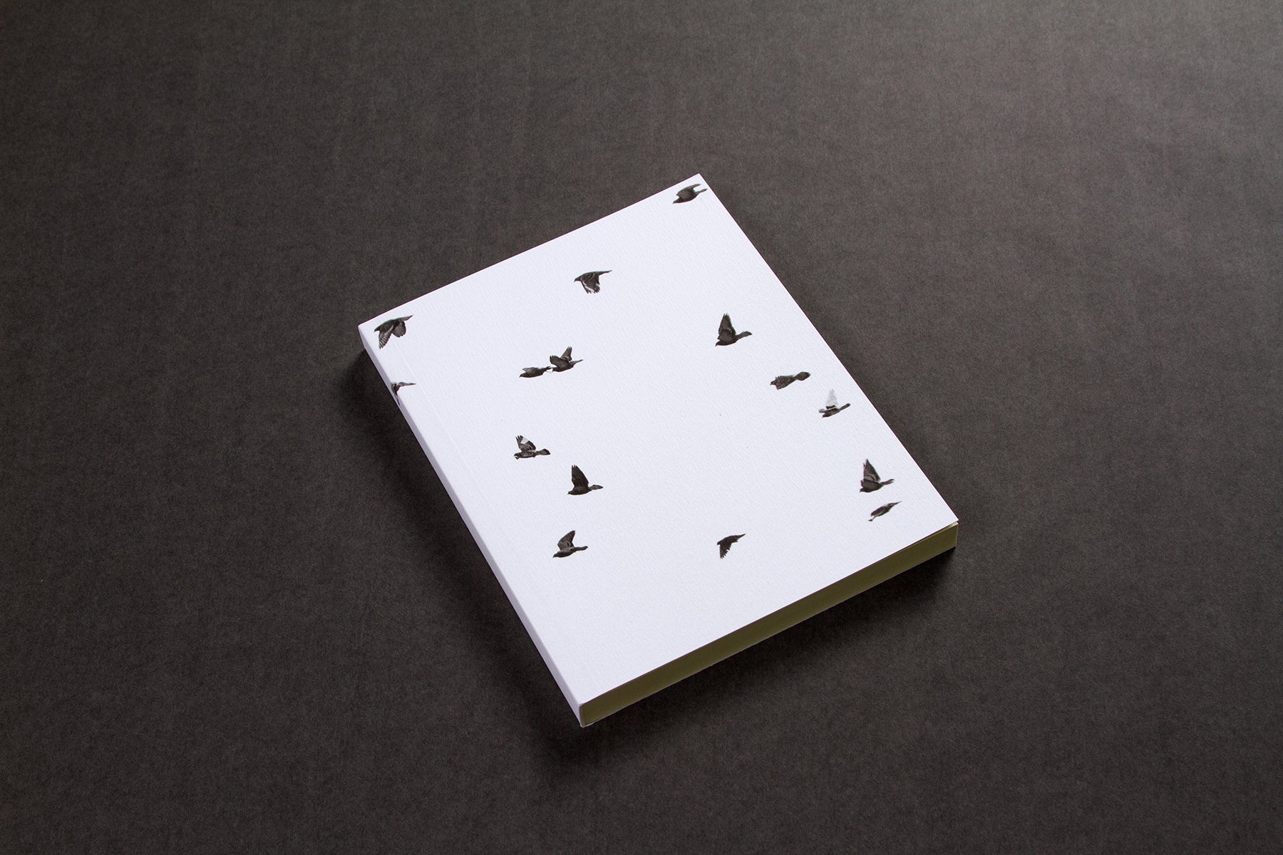 STILL LEARNING paperback notebook