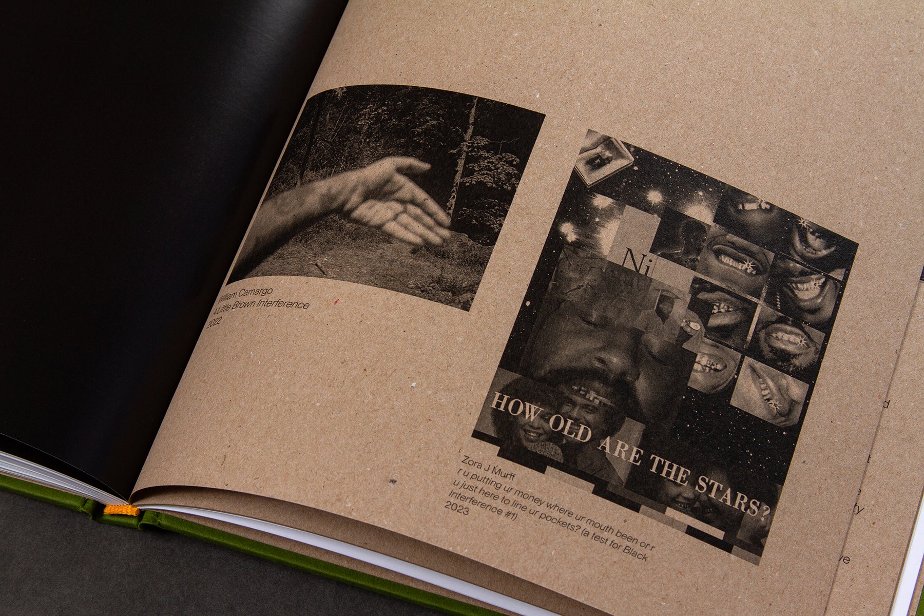 Origins & Displacements by William Camargo
