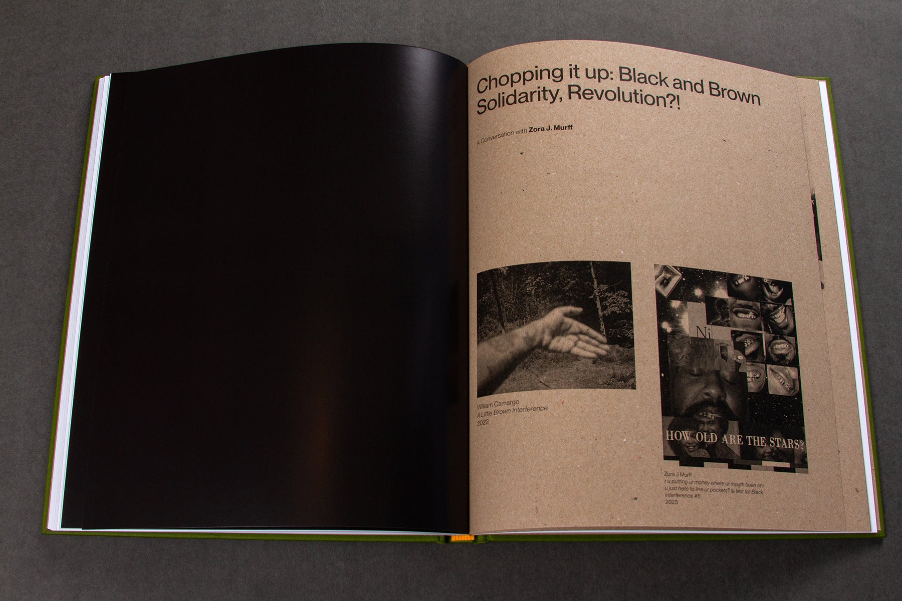 Origins & Displacements by William Camargo