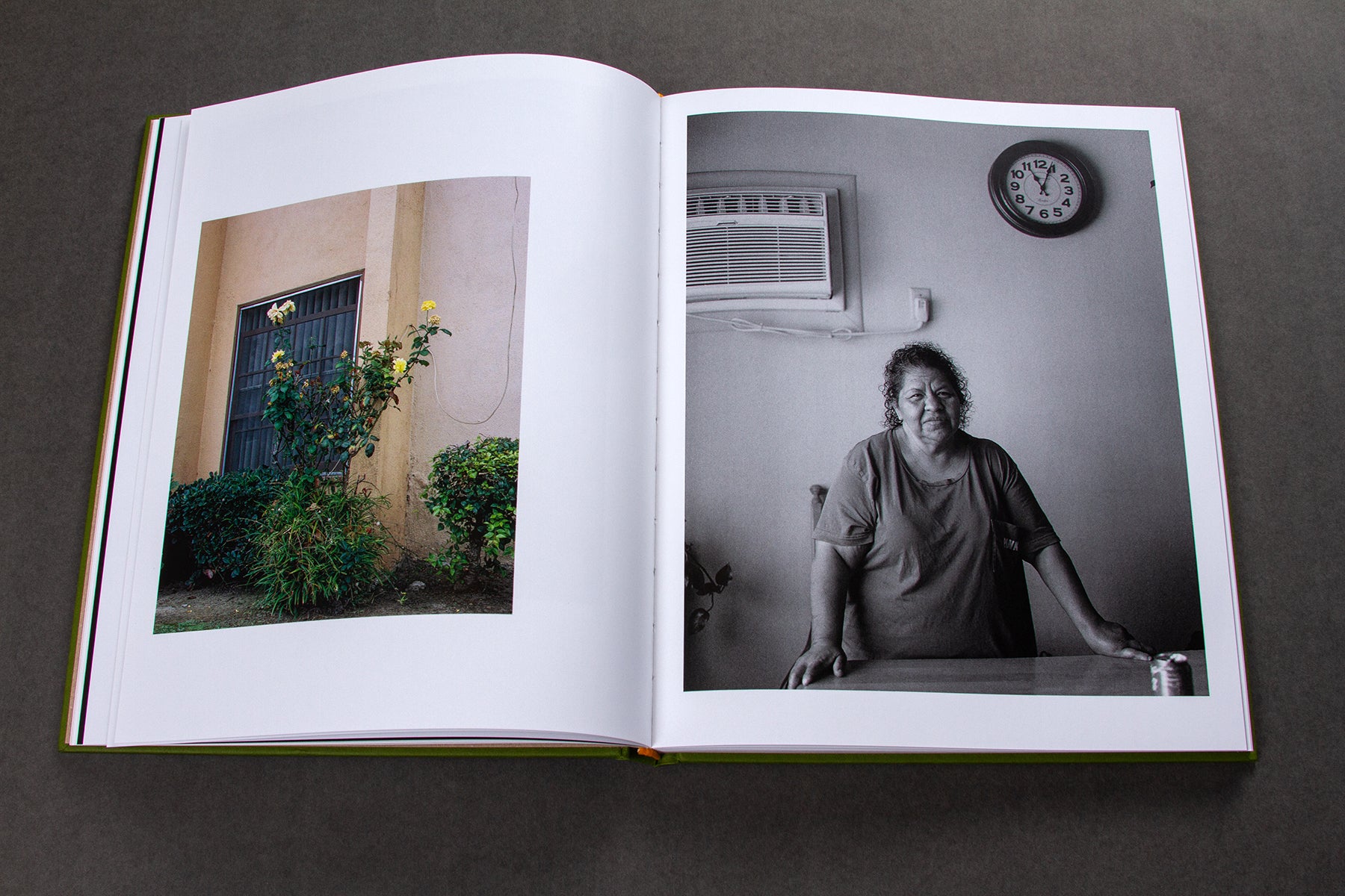 Origins & Displacements by William Camargo