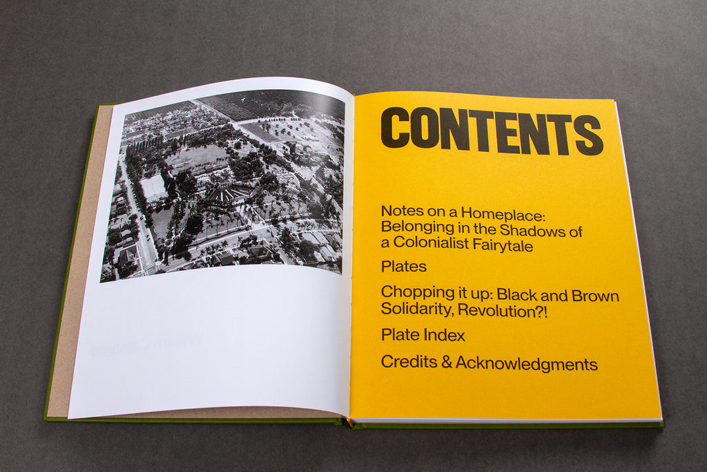 Origins & Displacements by William Camargo