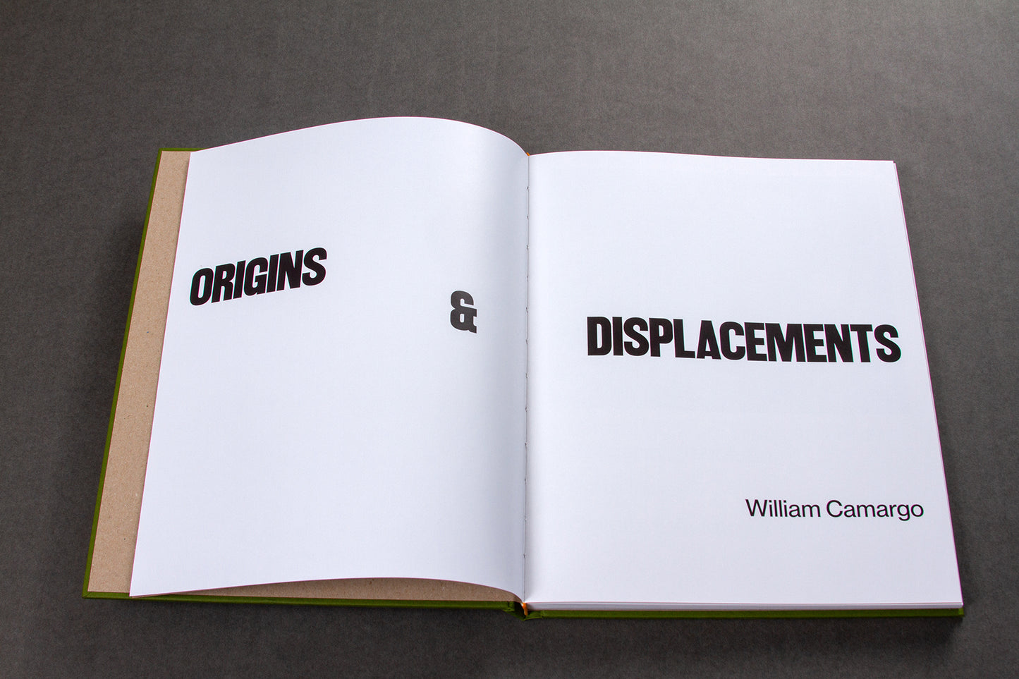 Pre-Order: Origins & Displacements by William Camargo