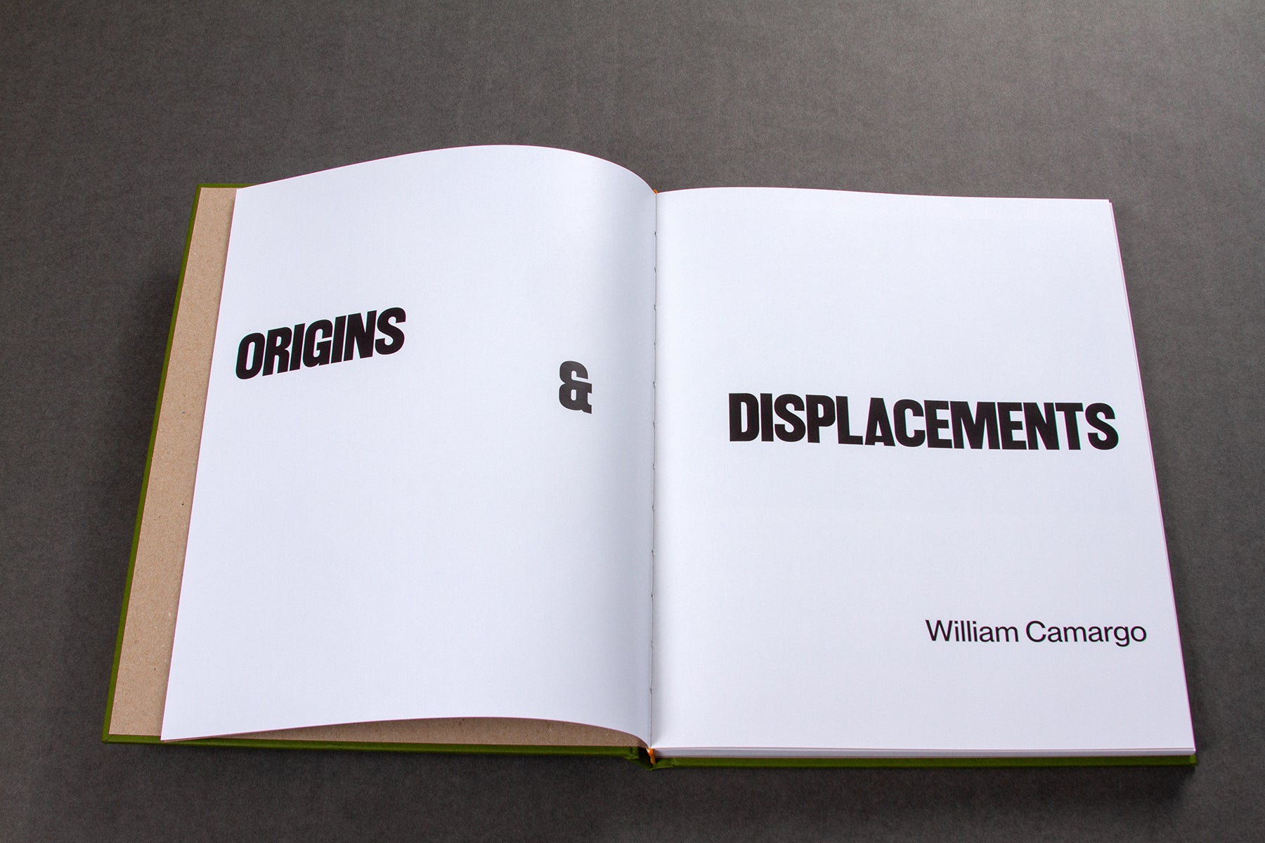 Origins & Displacements by William Camargo