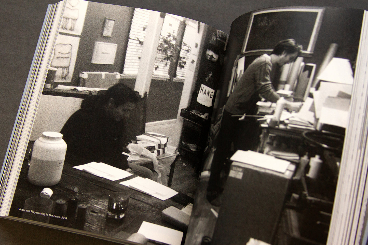 For the Birds Trapped in Airports by Matthew Austin