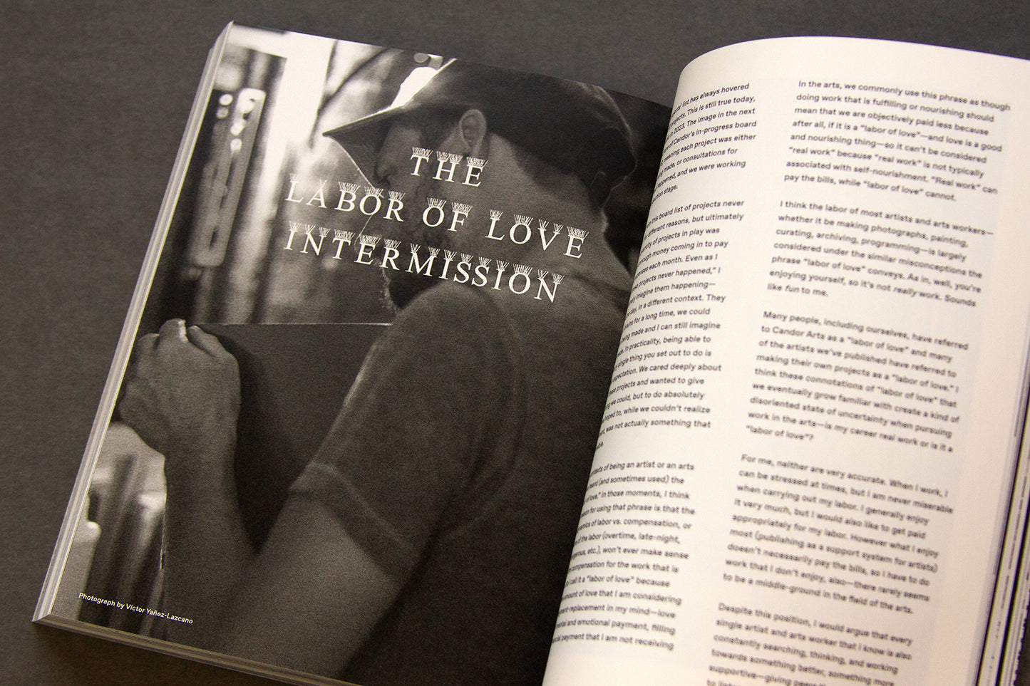 For the Birds Trapped in Airports by Matthew Austin