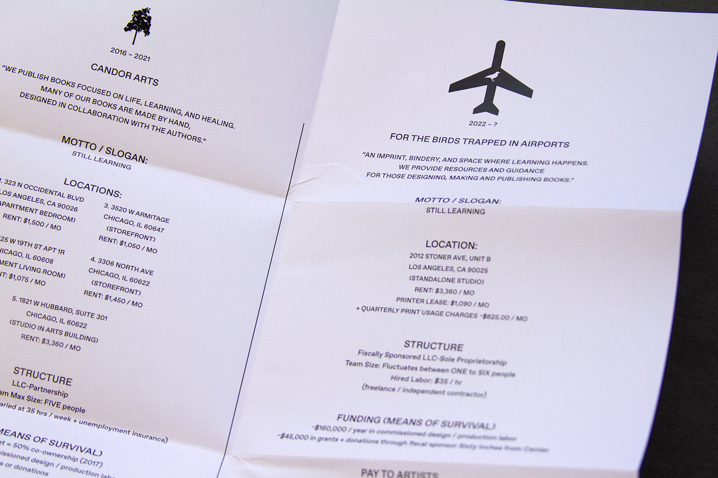 For the Birds Trapped in Airports by Matthew Austin