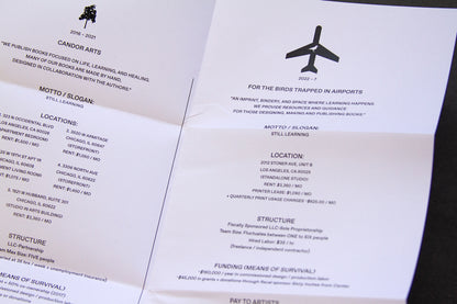 For the Birds Trapped in Airports by Matthew Austin