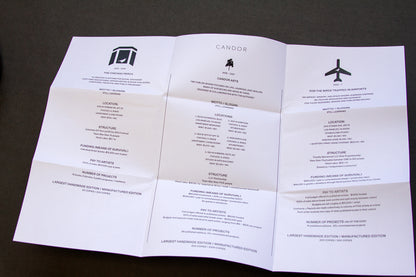 For the Birds Trapped in Airports by Matthew Austin