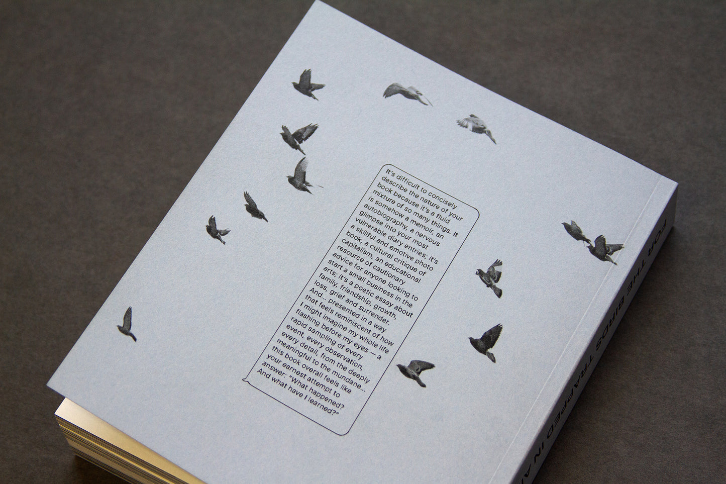 For the Birds Trapped in Airports by Matthew Austin