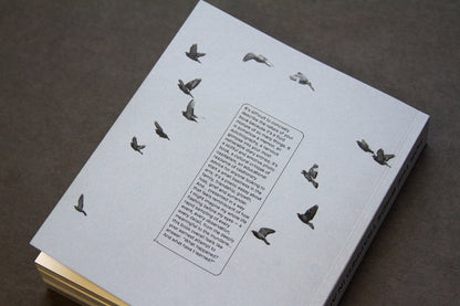 For the Birds Trapped in Airports by Matthew Austin