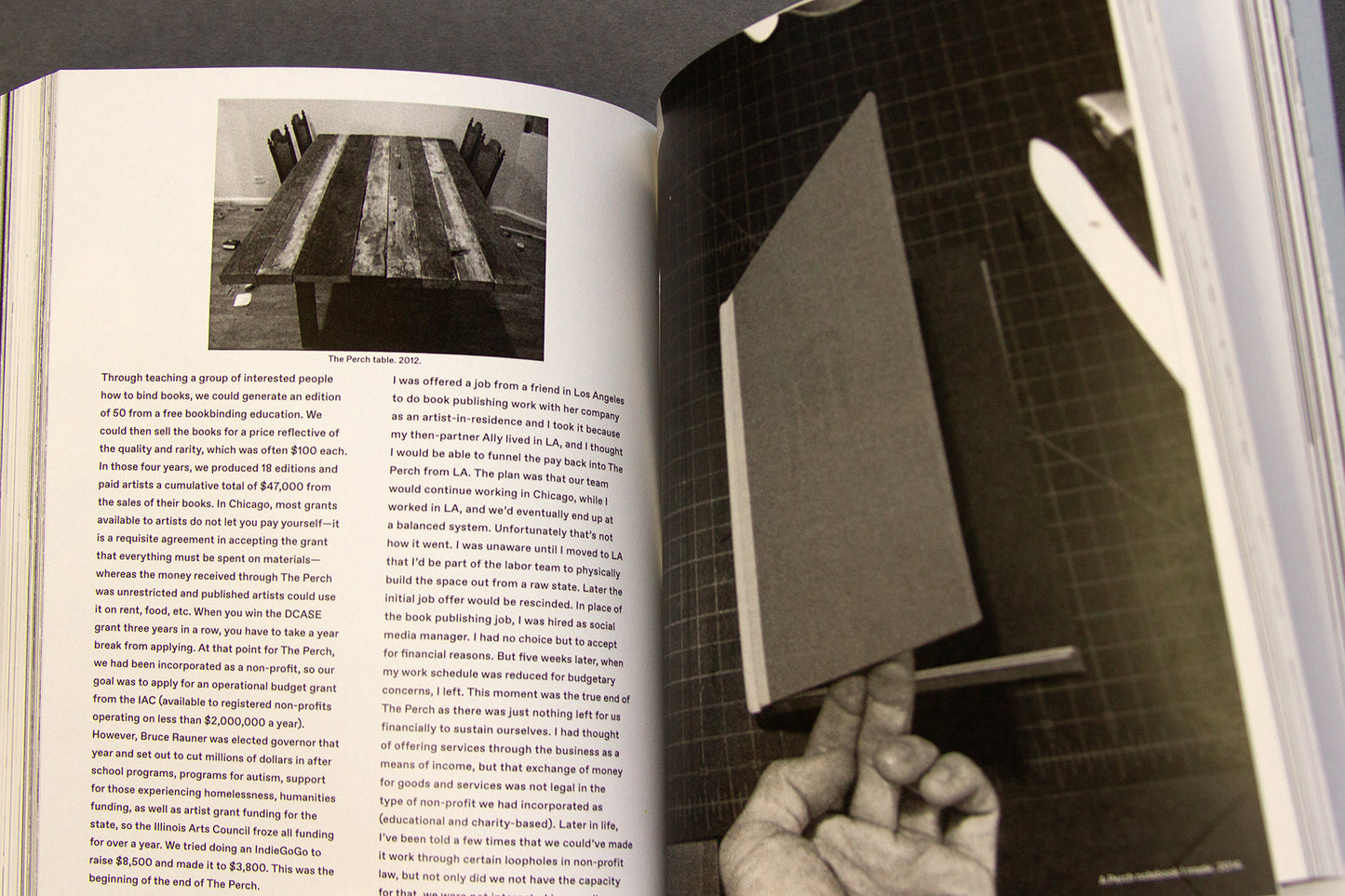 For the Birds Trapped in Airports by Matthew Austin