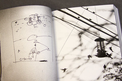 For the Birds Trapped in Airports by Matthew Austin