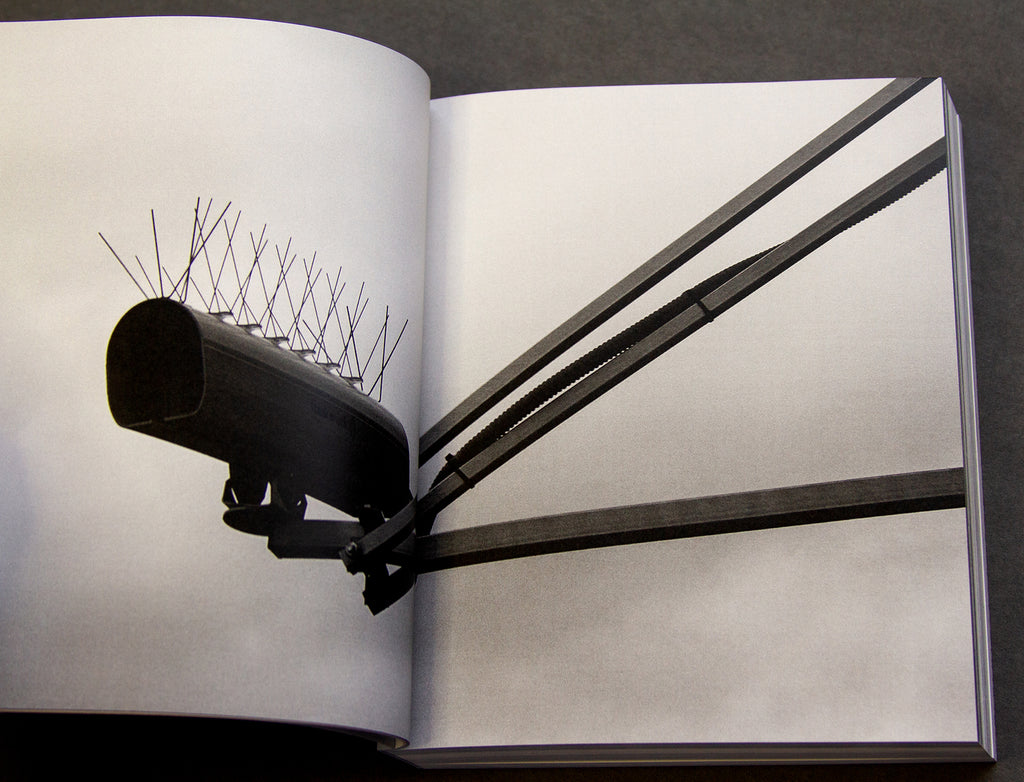 For the Birds Trapped in Airports by Matthew Austin