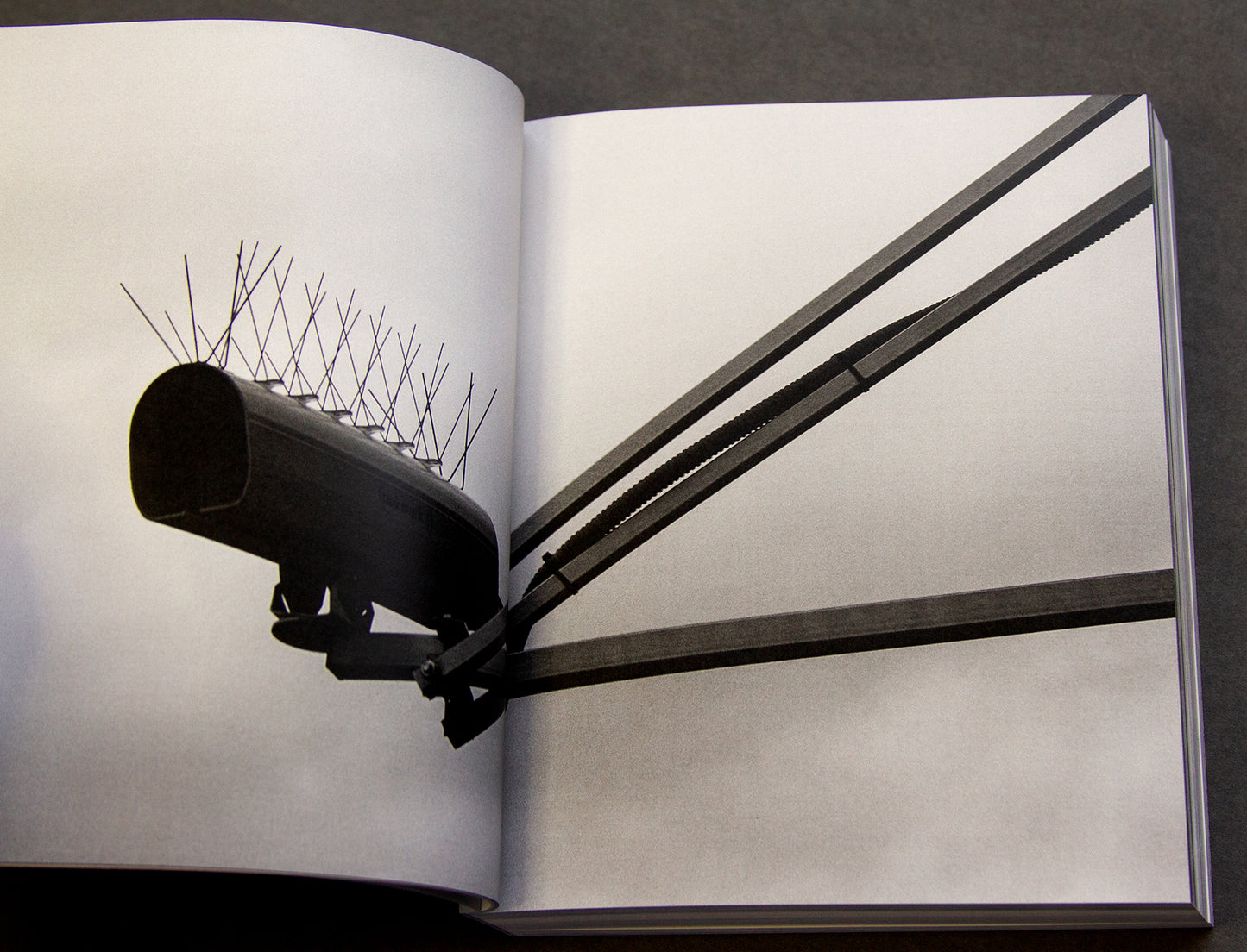 For the Birds Trapped in Airports by Matthew Austin