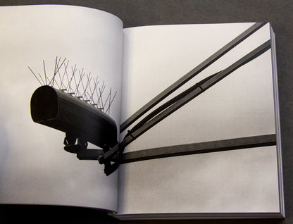 For the Birds Trapped in Airports by Matthew Austin