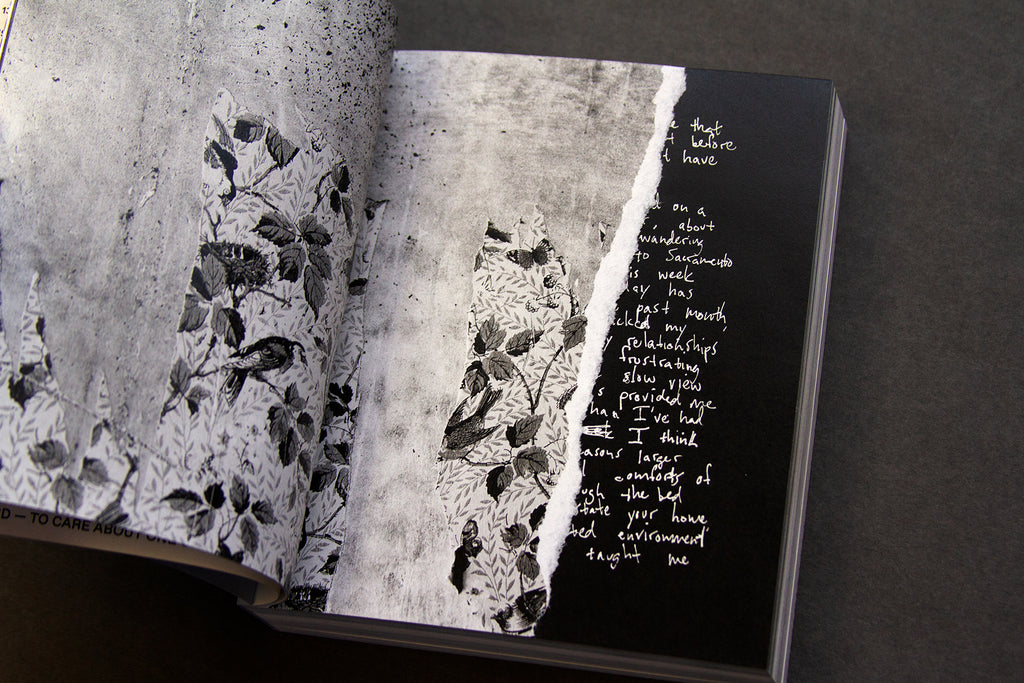 For the Birds Trapped in Airports by Matthew Austin