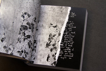 For the Birds Trapped in Airports by Matthew Austin