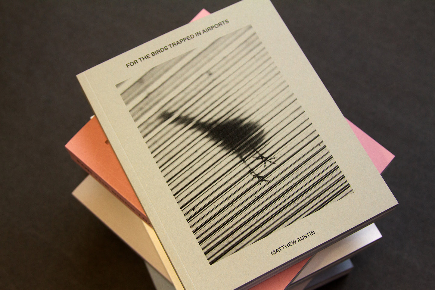 For the Birds Trapped in Airports by Matthew Austin