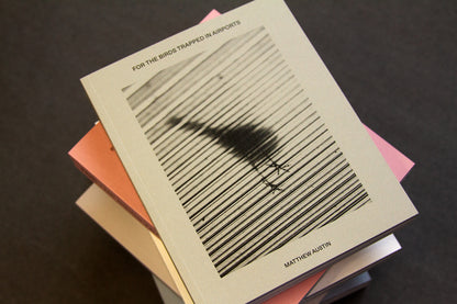 For the Birds Trapped in Airports by Matthew Austin