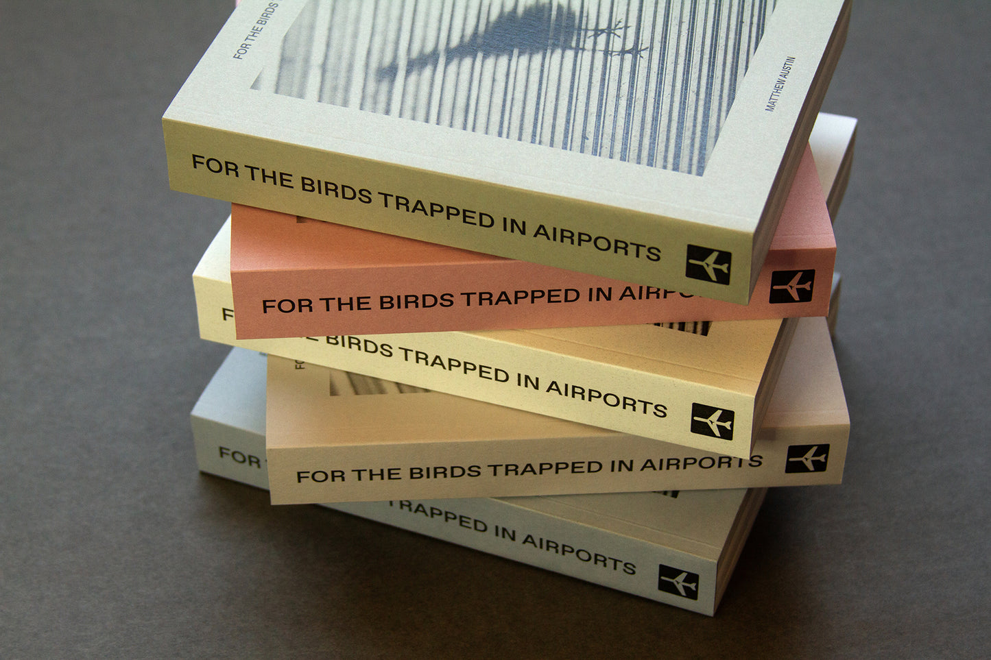For the Birds Trapped in Airports by Matthew Austin
