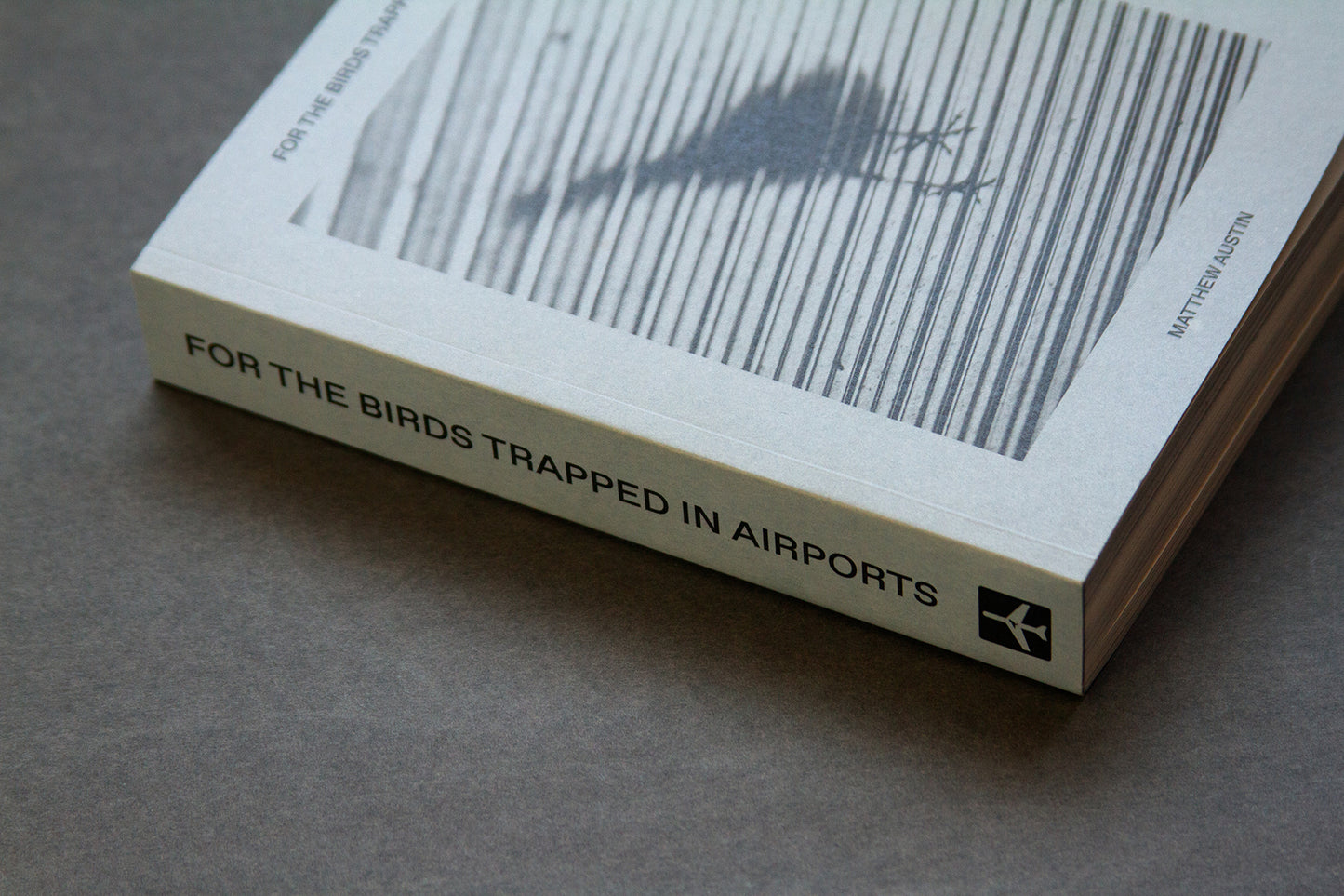 For the Birds Trapped in Airports by Matthew Austin