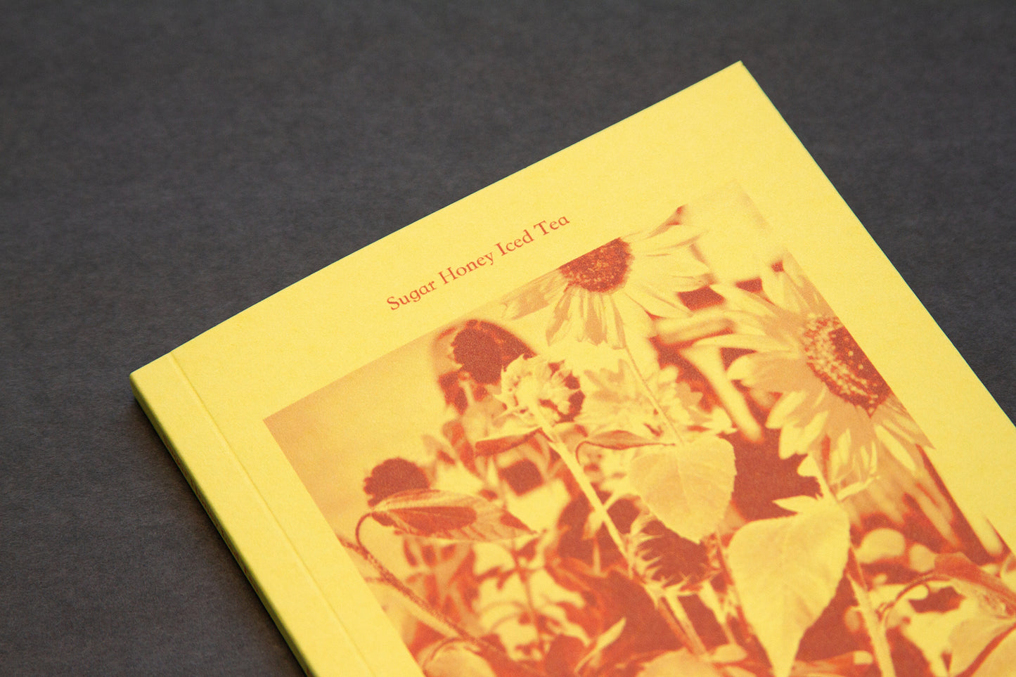 Sugar Honey Iced Tea by Ileana Ramirez and Sara J. Winston