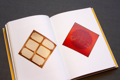 Unity Revolution by Diana Pumpelly Bates