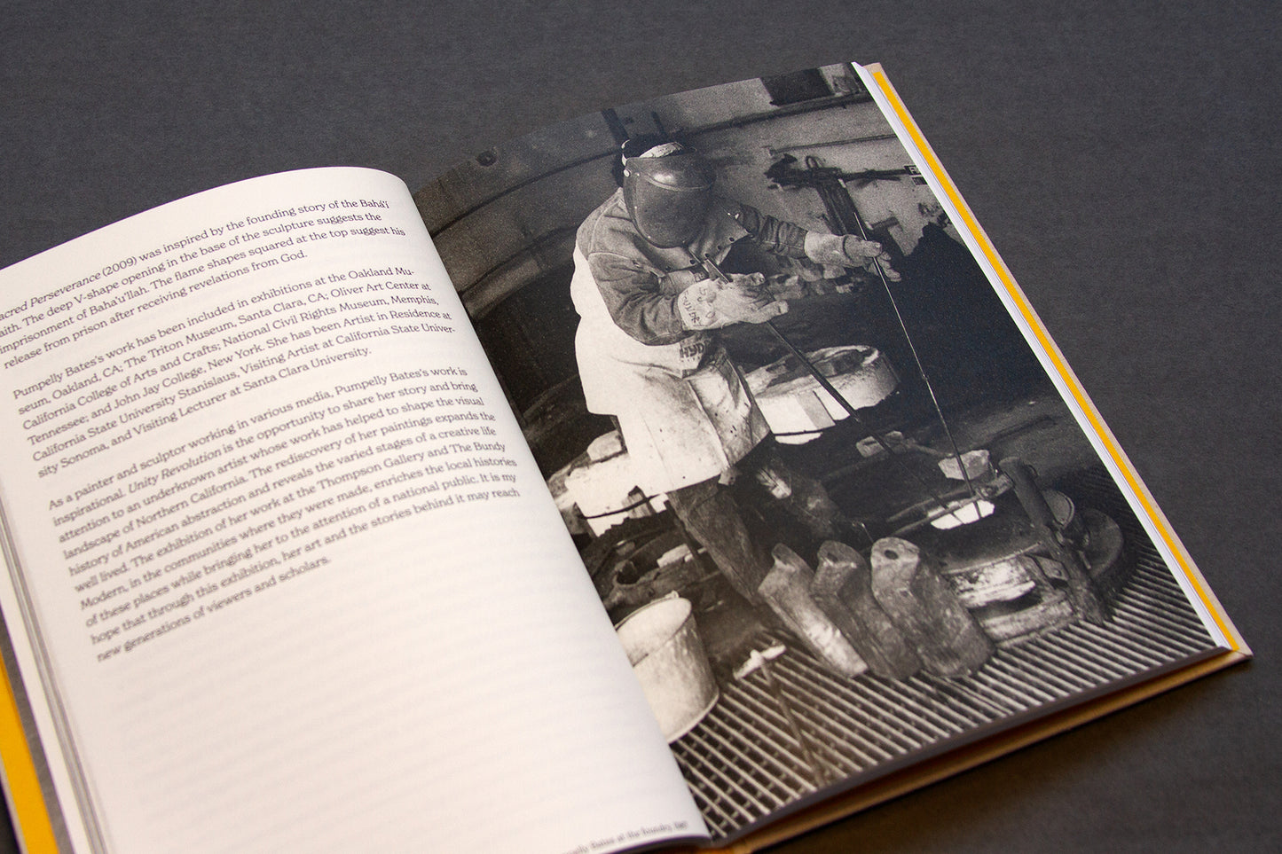 Unity Revolution by Diana Pumpelly Bates